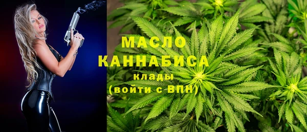индика Инта