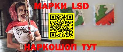 Альфа ПВП Кандалакша