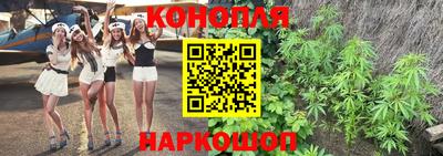 ГАЛЛЮЦИНОГЕННЫЕ ГРИБЫ Ирбит