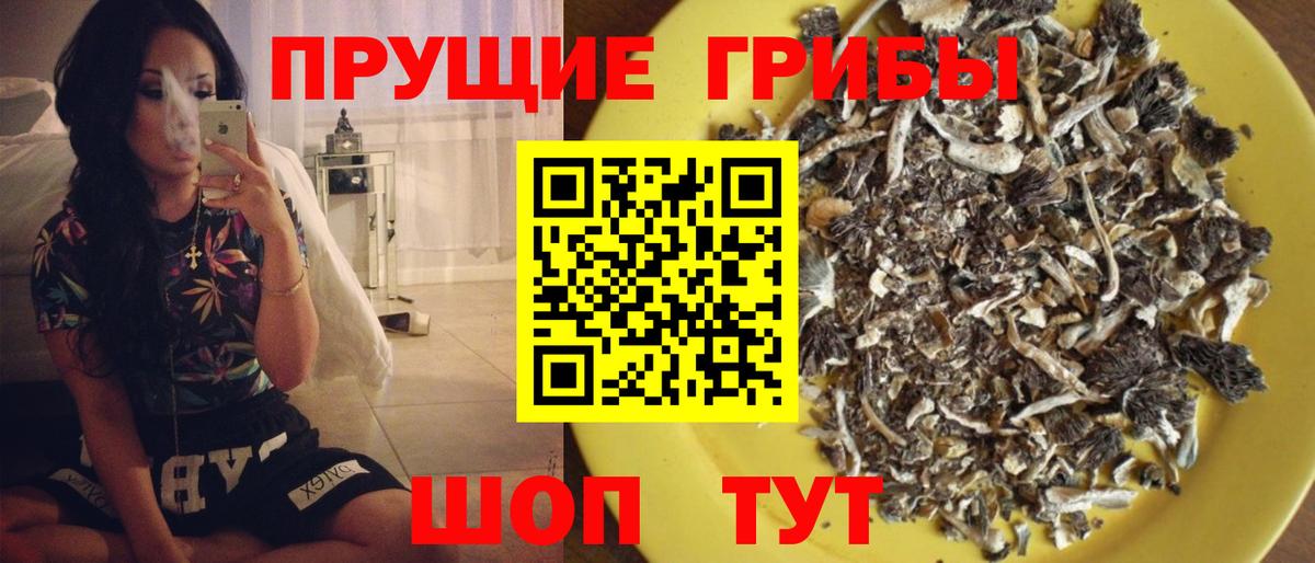 Галлюциногенные грибы Cubensis  Вход с VPN  Майкоп 