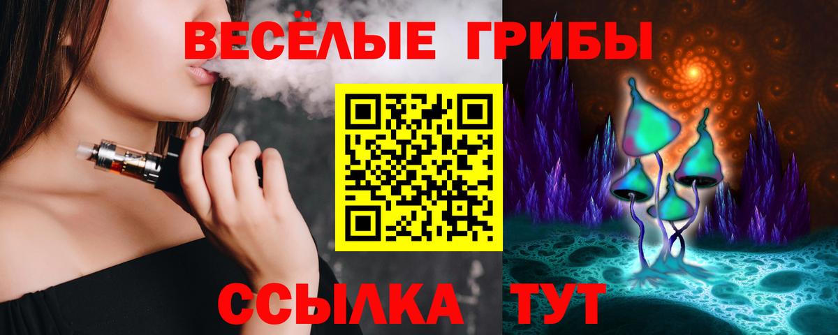 даркнет сайт  Майкоп  Галлюциногенные грибы мицелий  Псилоцибиновые грибы ЛСД 