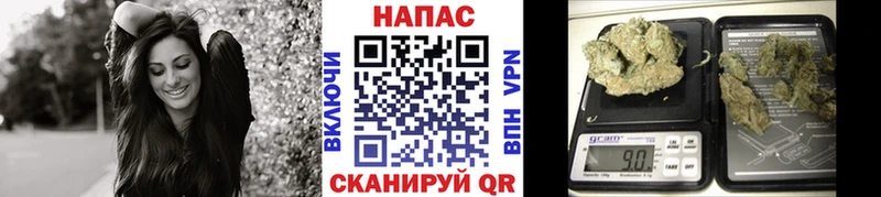 хочу наркоту  Майкоп  Каннабис план 